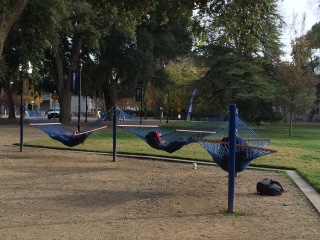 hammocks 1