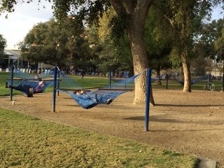 hammocks 2